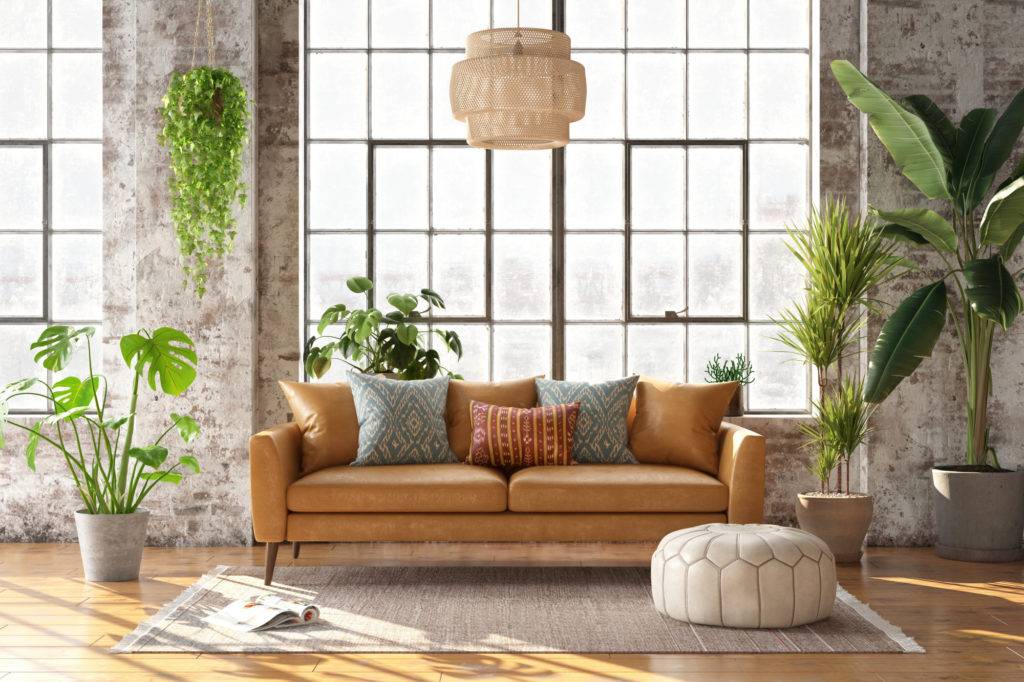 Decorating with Plants: Incorporating greenery into your home.