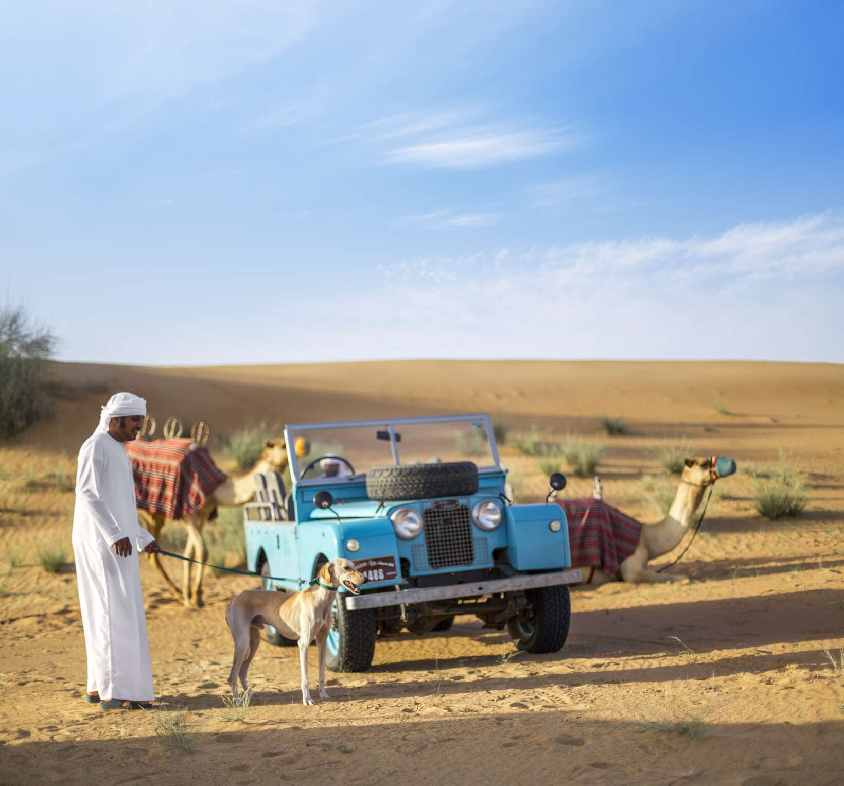 Exploring Emirates Safari Tours: Discovering the Beauty of the UAE