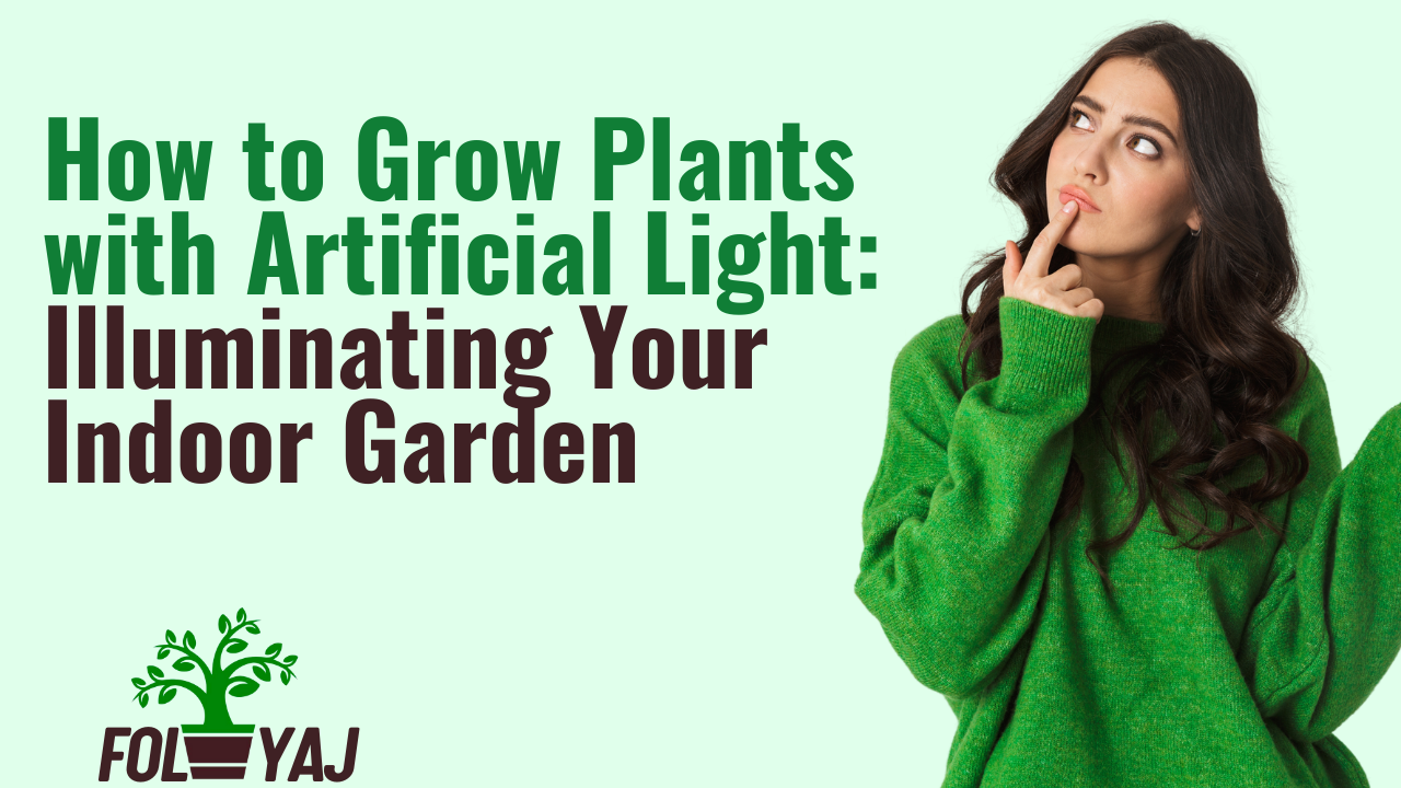 How to Grow Plants with Artificial Light: Illuminating Your Indoor Garden