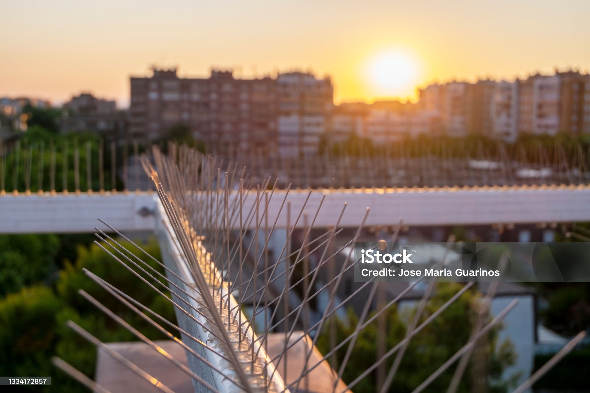 The Environmental Benefits of Bird Spikes in Dubai