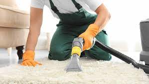 Revitalize Your Home with Professional Carpet Cleaning Services