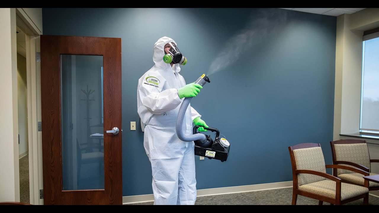 Guide to Fumigation Services in Islamabad and pest control service