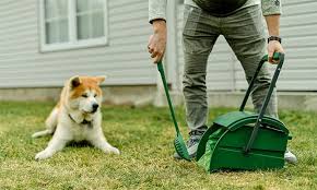 Dog Pooper Scooper Service Schaumburg IL: Keeping Your Yard Clean and Fresh